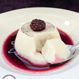 A white bowl with a milk jelly dessert surrounded by red berry coulis