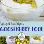 A close up picture of Weight Watchers Gooseberry Fool