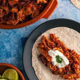 A dish of Mexican Mole with a tortilla