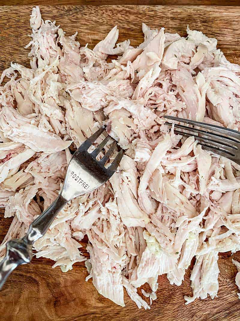 Poached chicken being shredded with 2 forks