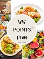 The New Weight Watchers Points Plan Explained (2022 / 2023) | Pointed ...